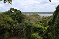 Canopy and New River from top of Jaguar Temple, Lamanai