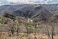 * Nomination Valley of Dourdou de Conques in Conques-en-Rouergue, Aveyron, France. (By Tournasol7) --Sebring12Hrs 09:21, 15 August 2024 (UTC) * Decline  Oppose Nice composition. But the image lacks detail. Oll trees are blured. One reason might be due to intense cropping. The camera is capable of 24 Megapixels, but the image only has 5,8 Megapixels. If a crop of factor 4 was needed, than another lens should have been used here. --Augustgeyler 20:26, 17 August 2024 (UTC)