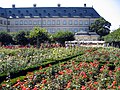 Rosengarten der Neuen Residenz - Rose garden