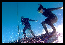 Freediving Fun Platform Surfing (441777052).jpg