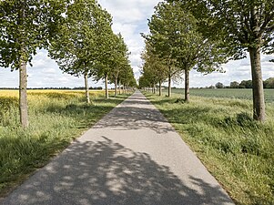 Municipal road between Daskow and Pantlitz, Mecklenburg-Vorpommern