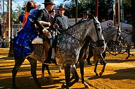 Feria del Caballo - Jerez Horse Fair - 3349127582.jpg