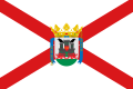 Vitoria-Gasteiz flag.