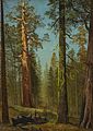 "The_Grizzly_Giant_Sequoia,_Mariposa_Grove,_California_LACMA_53.30_(1_of_2).jpg" by User:Fæ