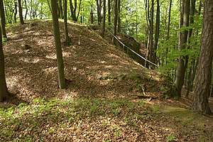 Burgstall Hartenfels - Stelle des Aufgangs zur Hauptburg (März 2012)