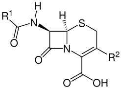 Cephalosporine 1.Generation V2.svg