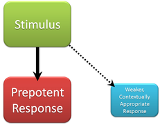 Inhibitory Response Diagram.png