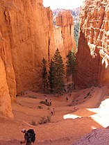 At Bryce Canyon National Park, Utah