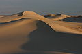 Sunrise at Monahans Sandhills State Park, Texas, USA.