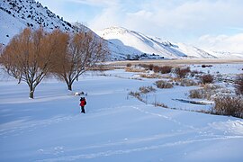 Photographer on the National Elk Refuge - Dec 31, 2021 (1).jpg