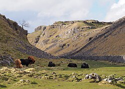 Pennine Way, above Malham Cove