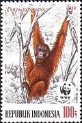 Stamp of Indonesia - 1989 - Colnect 256567 - Bornean Orangutan Pongo pygmaeus.jpeg