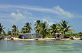 Northern Caye, Lighthouse Reef