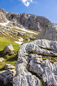 Asswel - Tikejda - Parc National du Djurdjura - Algérie © Azwawamarouche