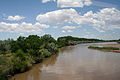 Albuquerque Rio Grande River Bed