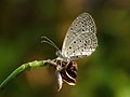 Underside