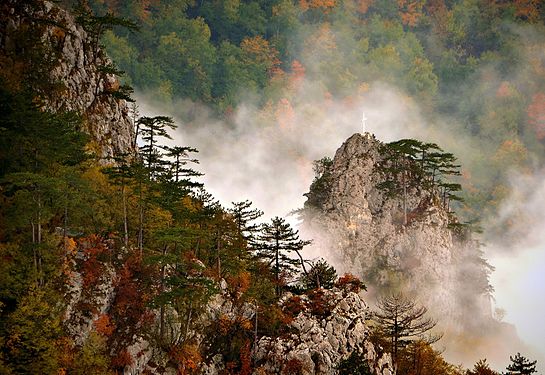 Canyon Rača, National Park Tara © Vladimir Mijailović