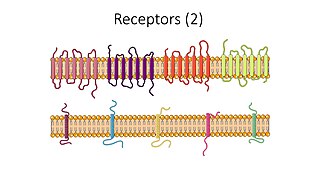 Receptors II -- Smart-Servier.jpg