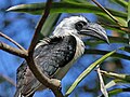 Female Tampa's Lowry Zoo