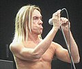 Iggy Pop at Sziget 2006