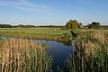 * Nomination Park Lingezegen-NL, farm with ditch and reed --Michielverbeek 20:40, 25 June 2021 (UTC) * Promotion  Support Good quality. --Nefronus 21:29, 25 June 2021 (UTC)