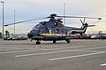 Bundespolizei AS 332 Super Puma.