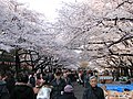 Parc Ueno, Tokyo