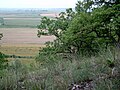 Nature reserve Bielinek