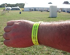 Sark Folk Festival 2011 05.jpg