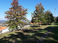 Faias 2 - Centro de Interpretação da Serra da Estrela.jpg