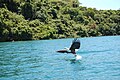 Cape Maclear, Malawi