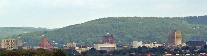 Binghamton