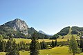 Stubwies Wurzeralm