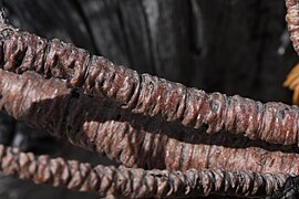 Branch bark, Wenatchee Mountains