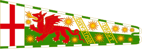 Henry VII's heraldic Welsh standard from across his reign