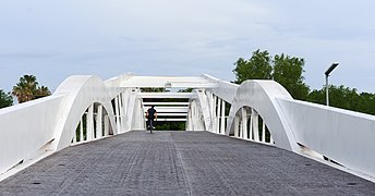 Culiacan bridge2019p2.jpg