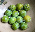 Greengages, Prunus domestica 'Reine Claude'