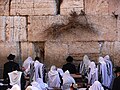 Jews praying at the Western Wall (aka Wailing Wall)