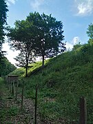 Oppidum de Liercourt-Erondelle (levée de terre) 05.jpg