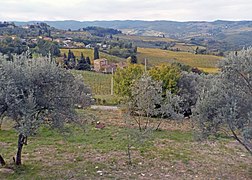 Colli del Chianti.jpg