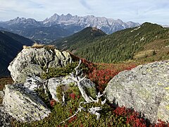 Blick zum Dachsteinmassiv vom Wanderweg zum Hochwurzen.jpg