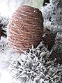 Cone with frost