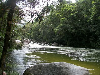 Mossman River, Daintree National Park, Australia