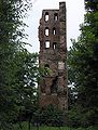 Ruin near Oosterhout