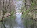 fiume Cherio alla confluenza con il lago di Endine