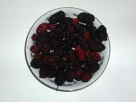 Mulberries