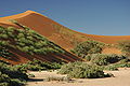 Désert du Namib