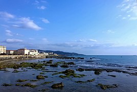 Veduta da Terrazza Mascagni - Livorno.jpg