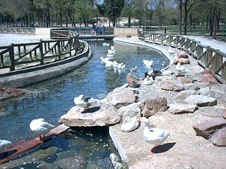 Parque Alces/ Alces Park