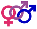 Bisexual male symbol (bold, color).svg